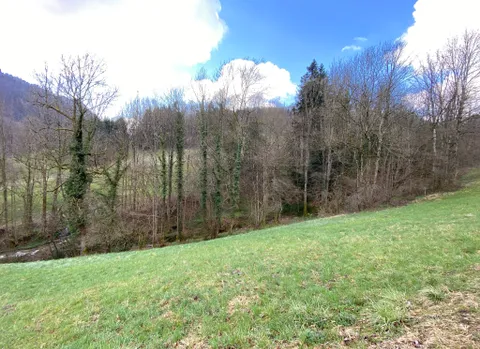 Maison individuelle style chalet