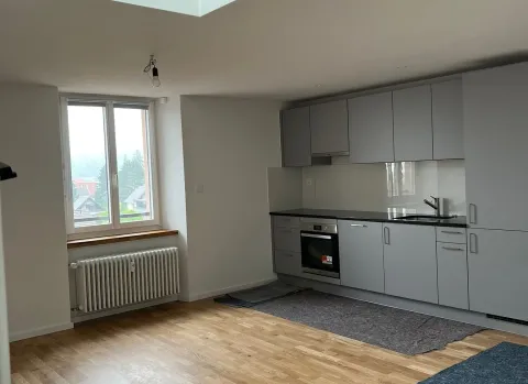 Helle 3.5-Zi.-Dachwohnung mit separatem Home-Office & eigenem Waschturm – Parkplatz inkl.!