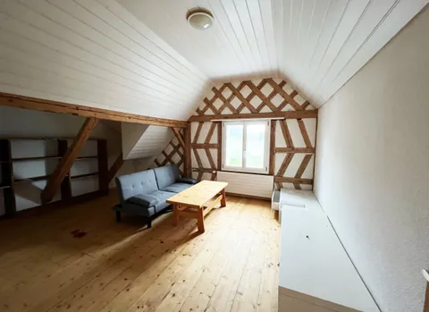 RENOVIERT – HOHE DECKEN – SICHTBALKEN – AKTUELL VERMIETET!