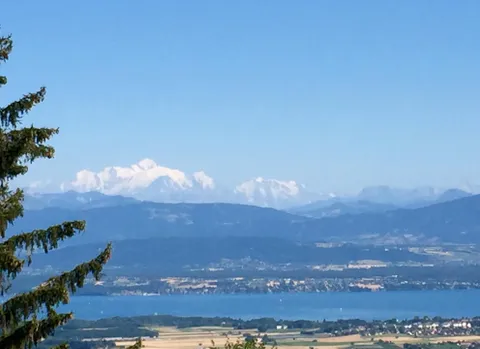 Faites une offre pour cette superbe villa d’exception, avec vue sur le lac et les alpes