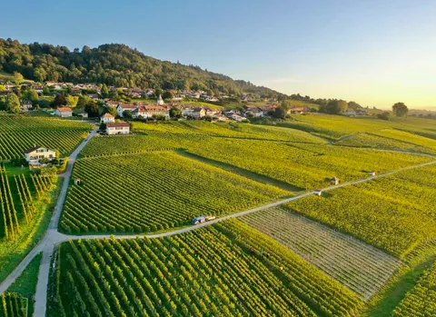 PRESTIGIOUS ESTATE WITH PANORAMIC VIEW OF THE LAKE, THE ALPS, AND MONT BLANC