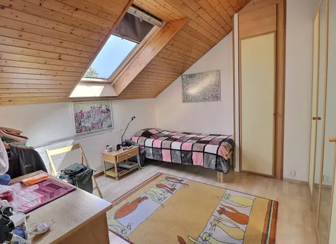 Maison de Charme en Viager Occupé – Opportunité Rare à Veyrier
