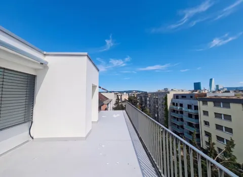 Helle 5-Zimmer Attikawohnung mit Blick in Basel zur Miete