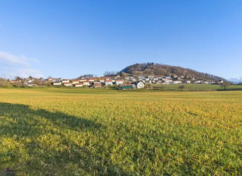 Maison en viager occupé sans rente