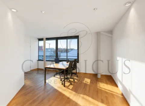 Bureaux professionnels rationnels au 2ème étage – Genève Plainpalais