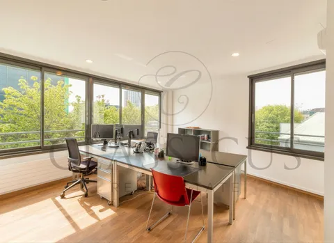 Bureaux professionnels rationnels au 2ème étage – Genève Plainpalais