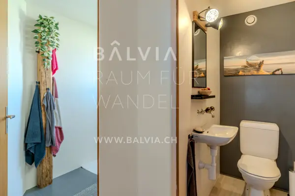 Guest toilet, semi-detached house in Therwil, photo 18