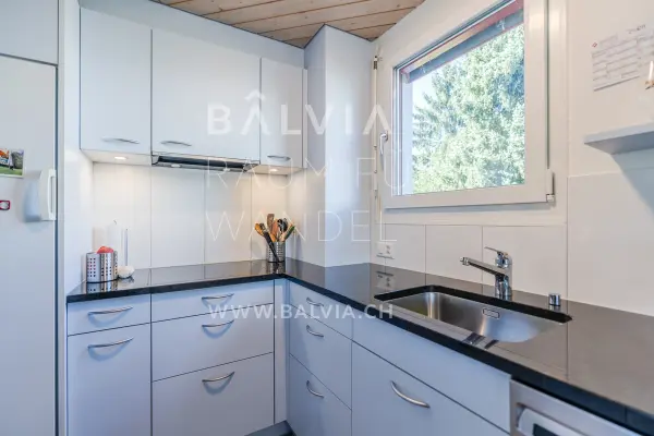 Kitchen, semi-detached house in Therwil, photo 11
