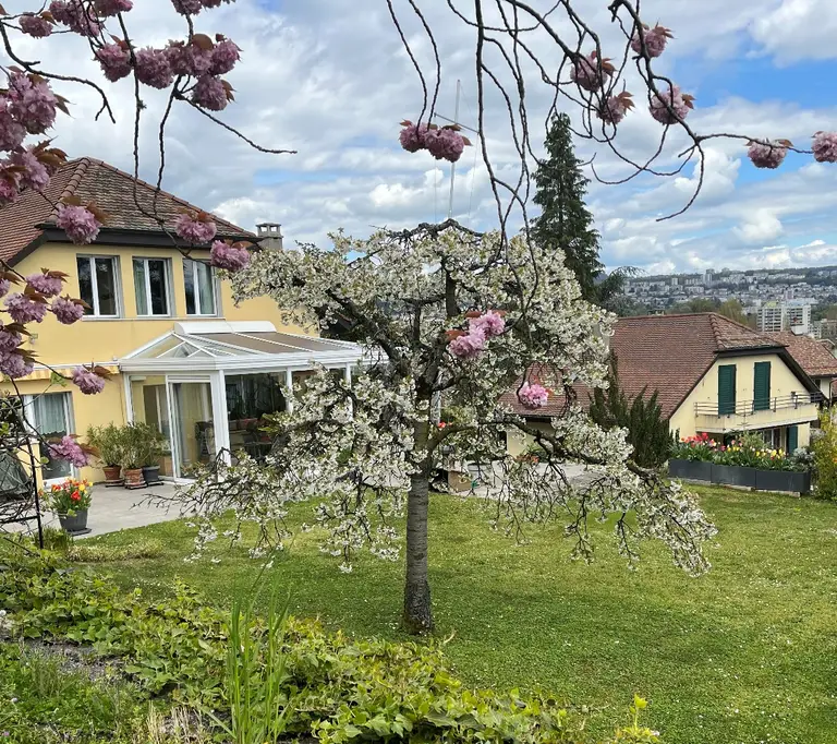 Maison individuelle à Ecublens