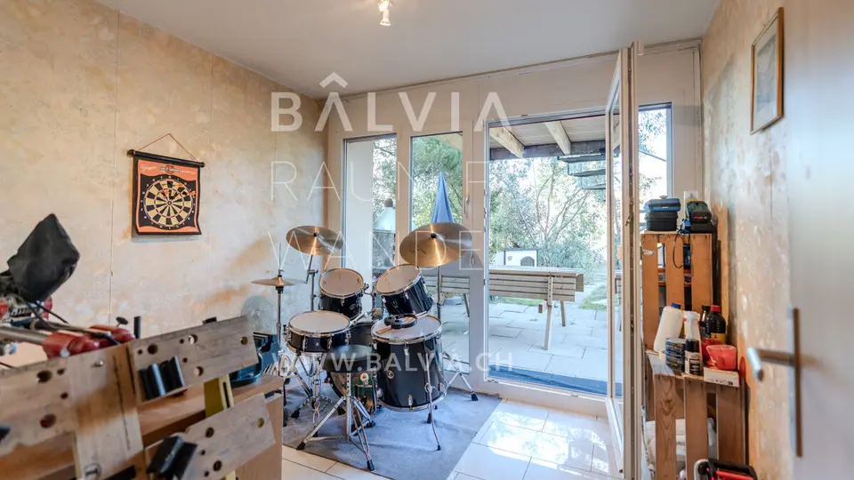 Bright room opening onto the terrace, semi-detached house in Therwil, photo 1