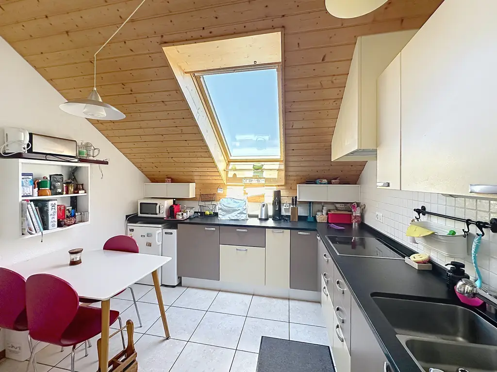Duplex lumineux aux volumes généreux au cœur de Servion