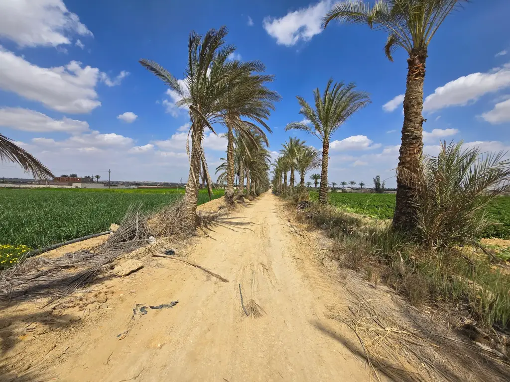 Opportunité foncière exceptionnelle et stratégique – New Zayed, Égypte