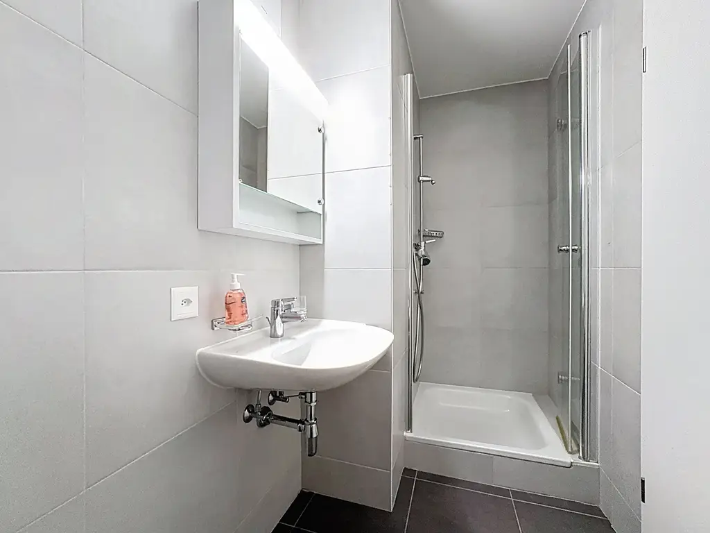 Duplex 4.5 pièces au dernier étage avec vue spectaculaire sur le Léman, les Alpes et les vignobles