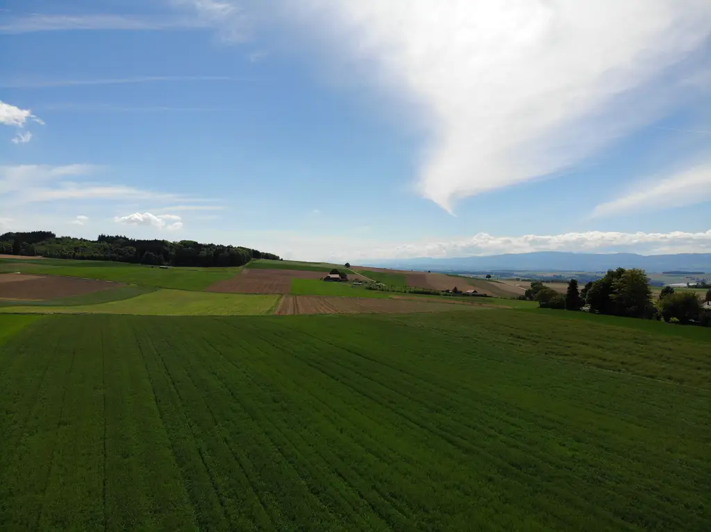 Thierrens Futur projet de 6 villas