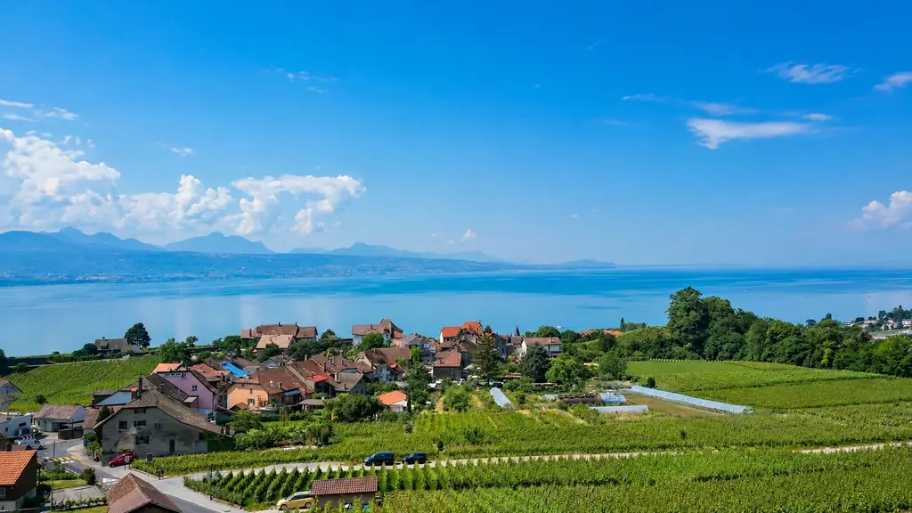 Villa d&rsquo;architecte Au milieu des vignes Vue lac Spectaculaire
