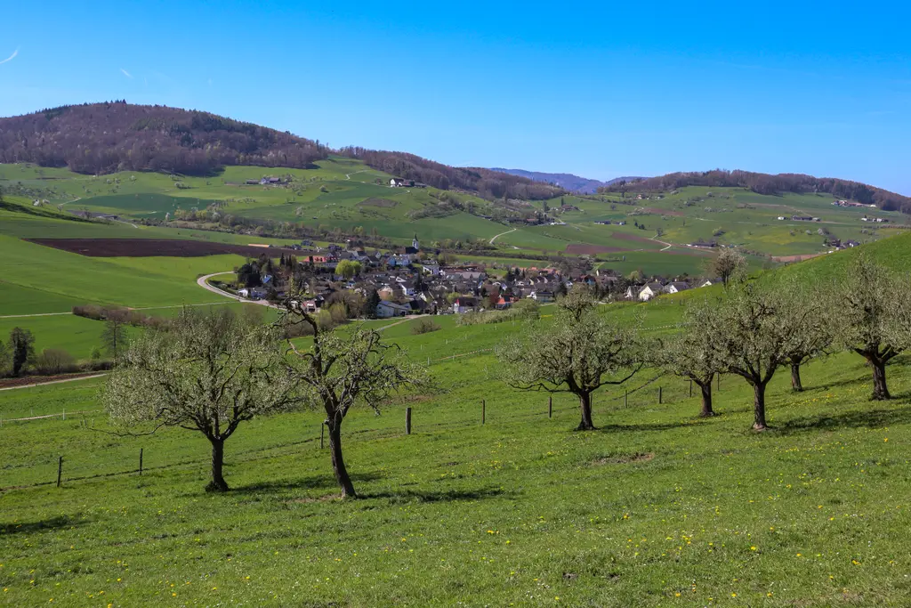 Ruhig und sonnig; 4,5 Zimmer-Einfamilienhaus an bester Lage