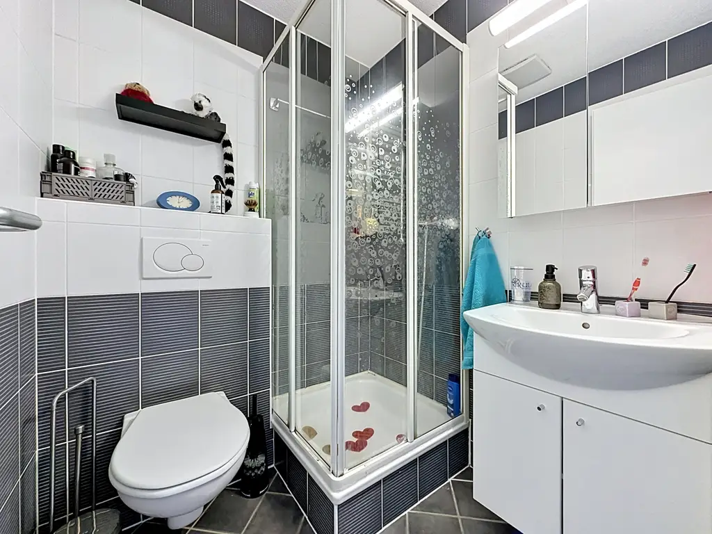 Duplex lumineux aux volumes généreux au cœur de Servion