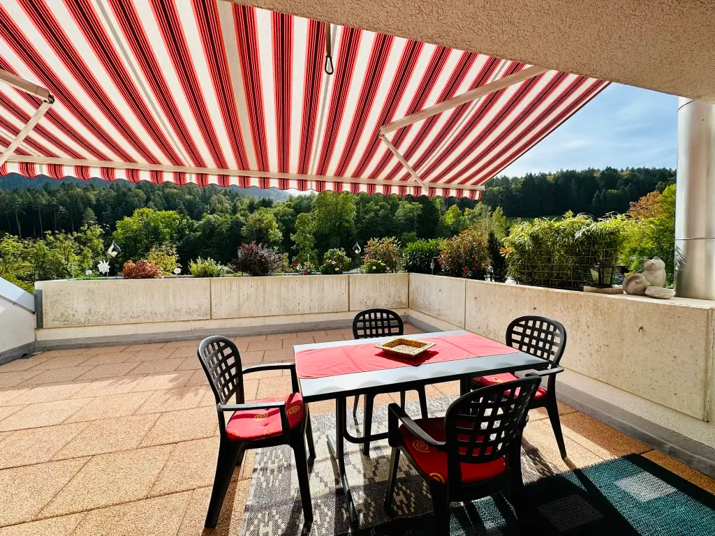Appartement terrasse de 5.5 pièces