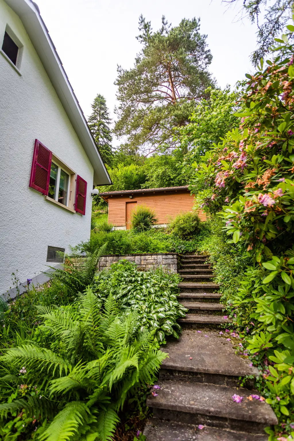 Magnifique maison individuelle