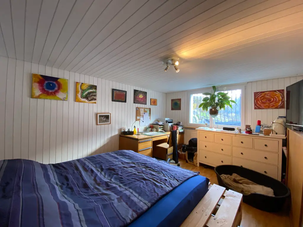 Maison individuelle style chalet