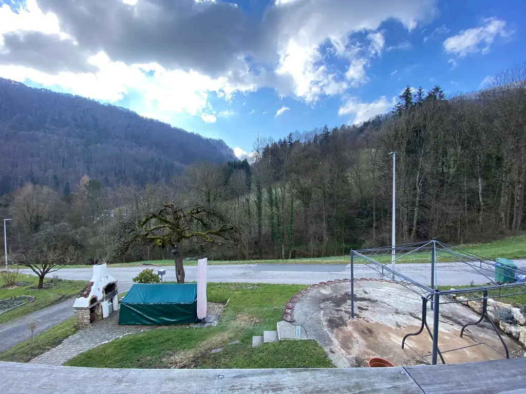 Maison individuelle style chalet