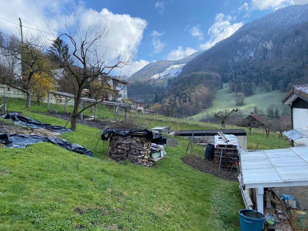 Maison individuelle style chalet