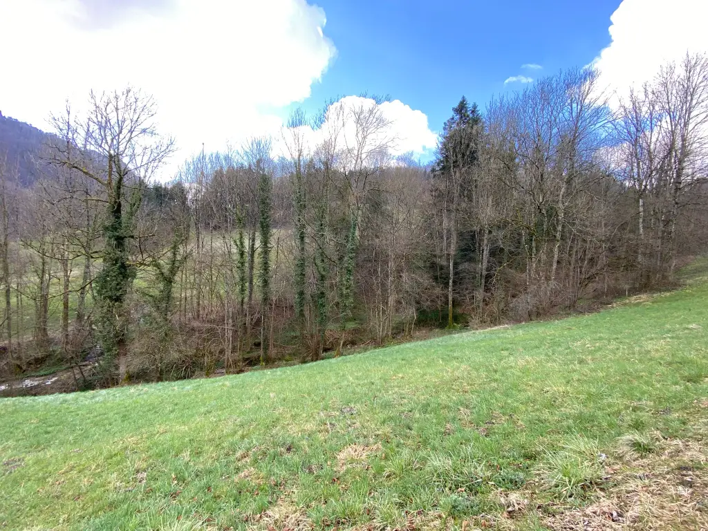 Maison individuelle style chalet