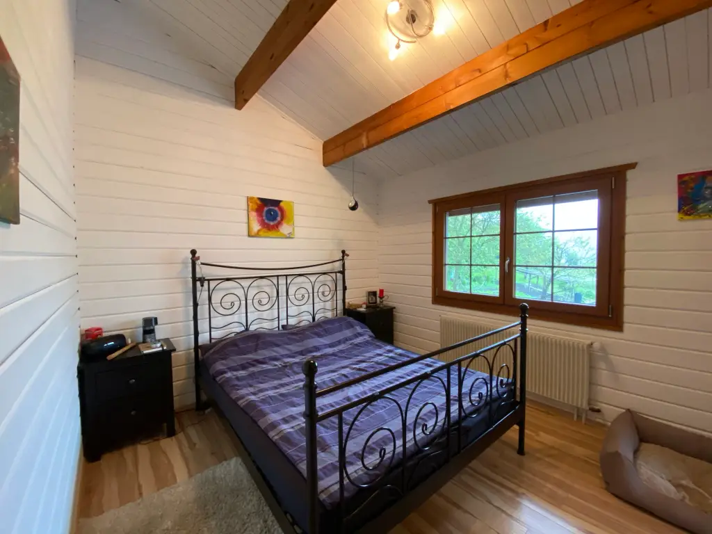 Maison individuelle style chalet