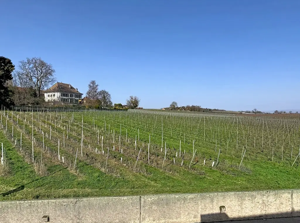 Duplex 4.5 pièces au dernier étage avec vue spectaculaire sur le Léman, les Alpes et les vignobles
