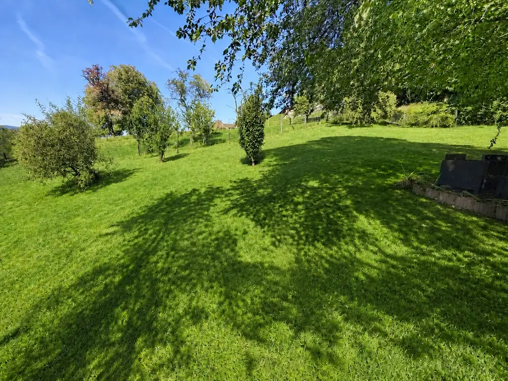 Enfin une maison où toute votre famille trouve sa place