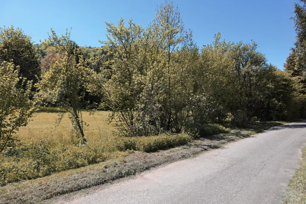Charmante 4,5 Zimmer-Gartenwohnung direkt am Bach