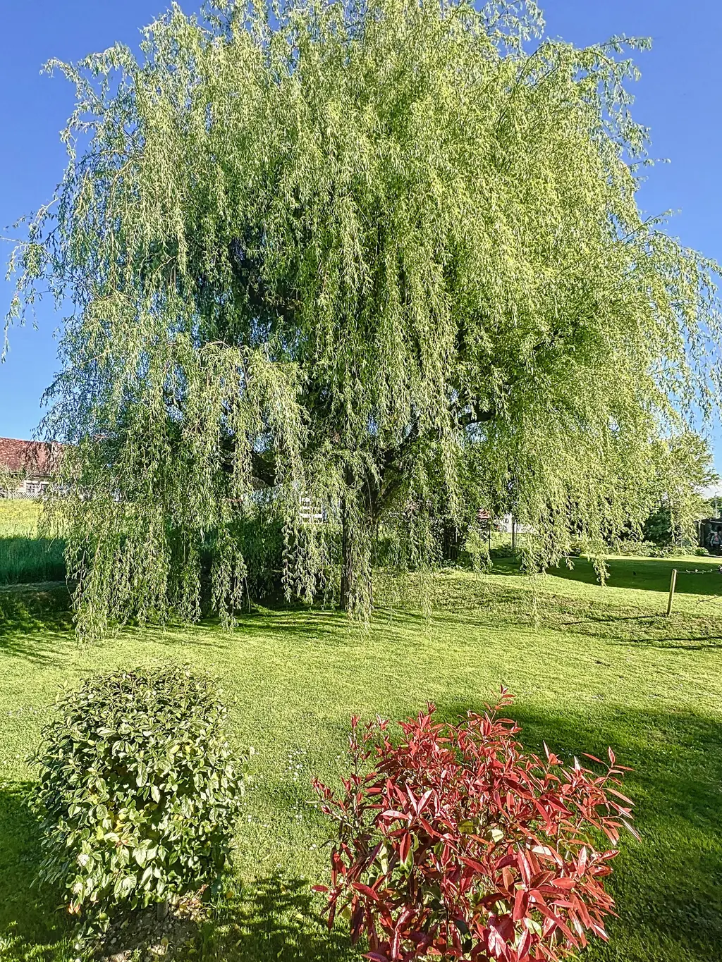 Spacieuse maison soigneusement rénovée, avec studio indépendant, dans un écrin de verdure !