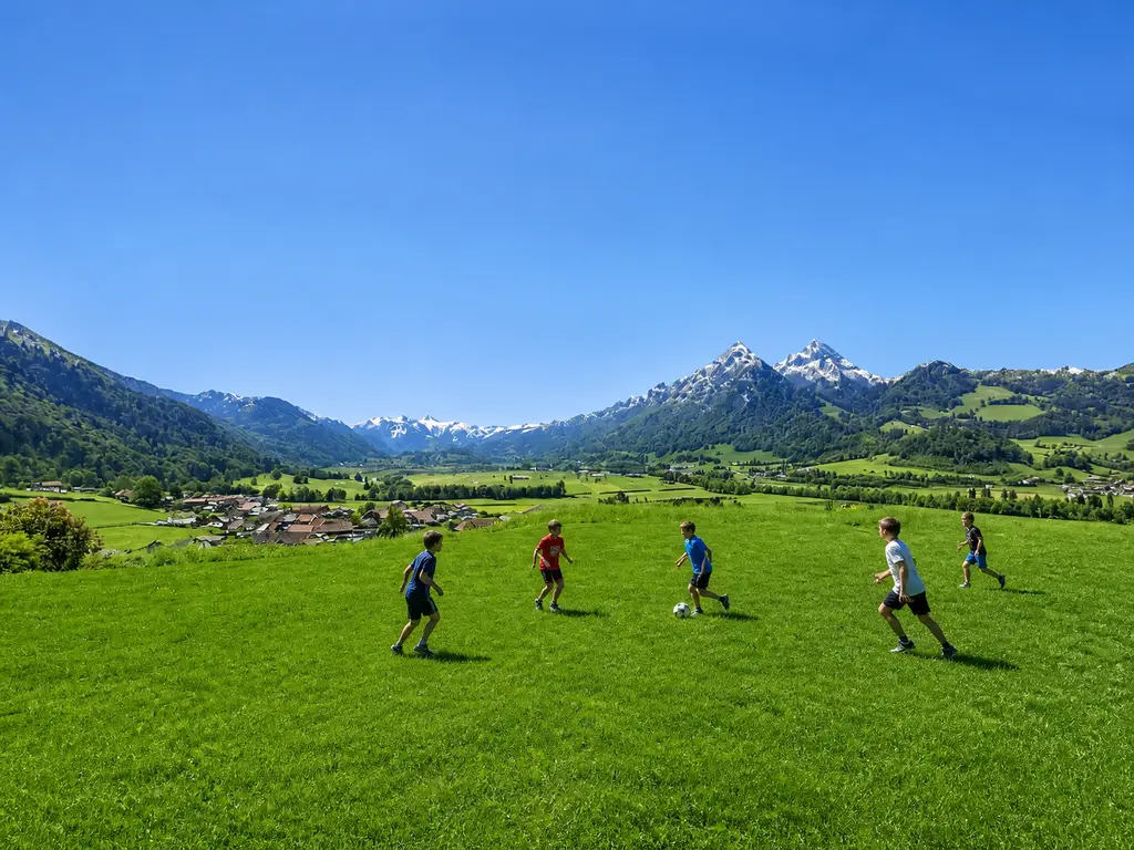PROPRIÉTÉ D’EXCEPTION AVEC ESPACE WELLNESS PRIVATIF ET VUE PANORAMIQUE SUR LES PRÉALPES