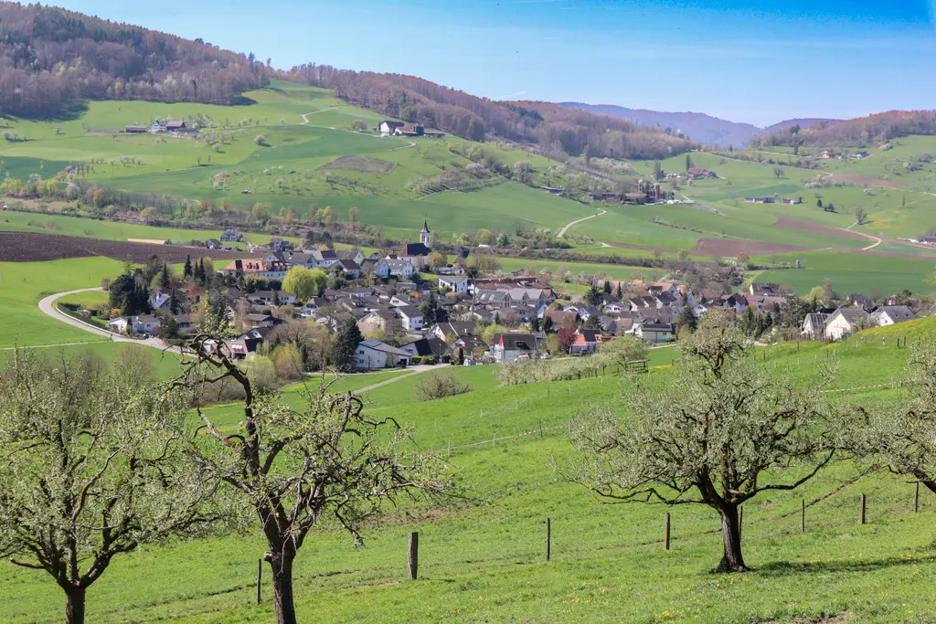 Ruhig und sonnig; 4,5 Zimmer-Einfamilienhaus an bester Lage