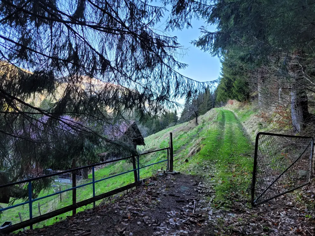 Ancienne ferme de 1916 au cœur de la nature – Val d’Illiez