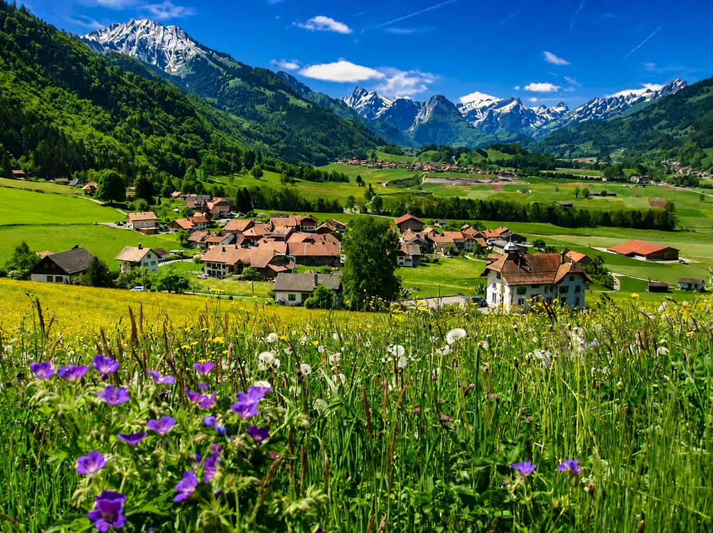 PROPRIÉTÉ D’EXCEPTION AVEC ESPACE WELLNESS PRIVATIF ET VUE PANORAMIQUE SUR LES PRÉALPES