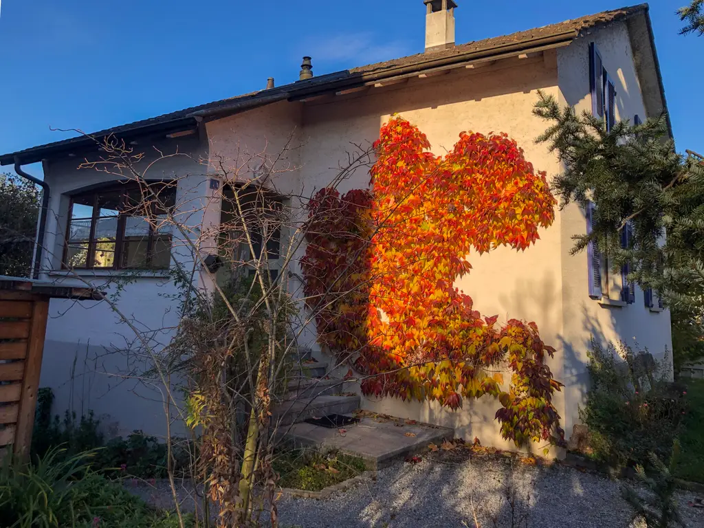 6 &#8211; Zimmer-Einfamilienhaus an sehr ruhiger und sonniger Lage