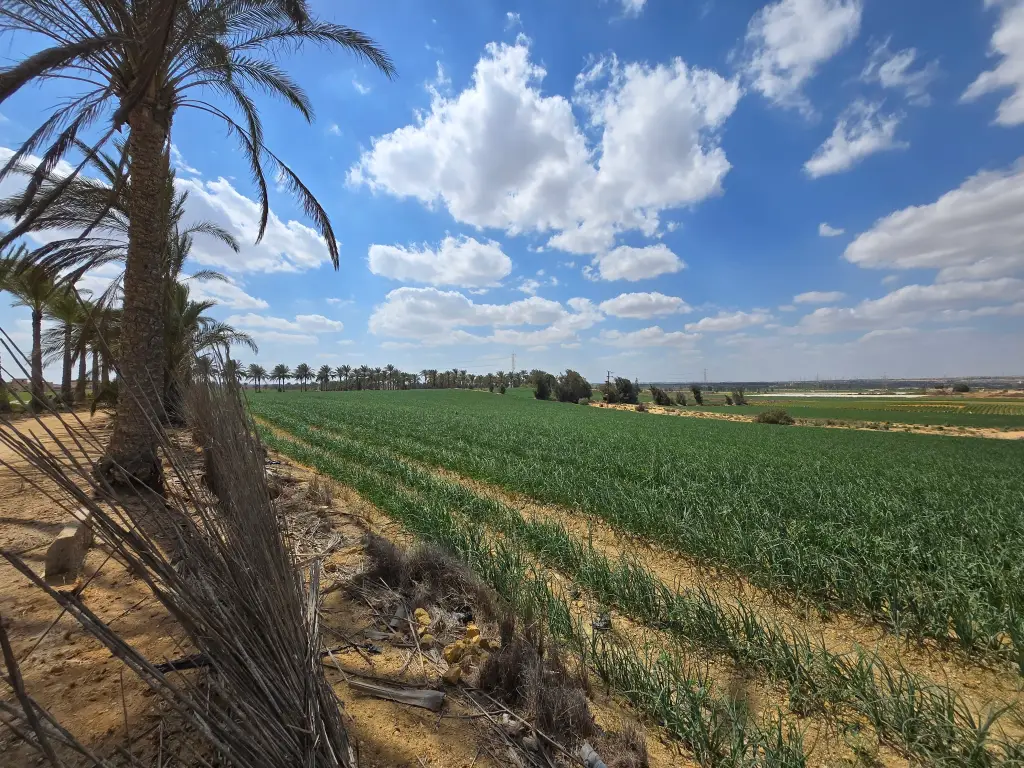 Opportunité foncière exceptionnelle et stratégique – New Zayed, Égypte