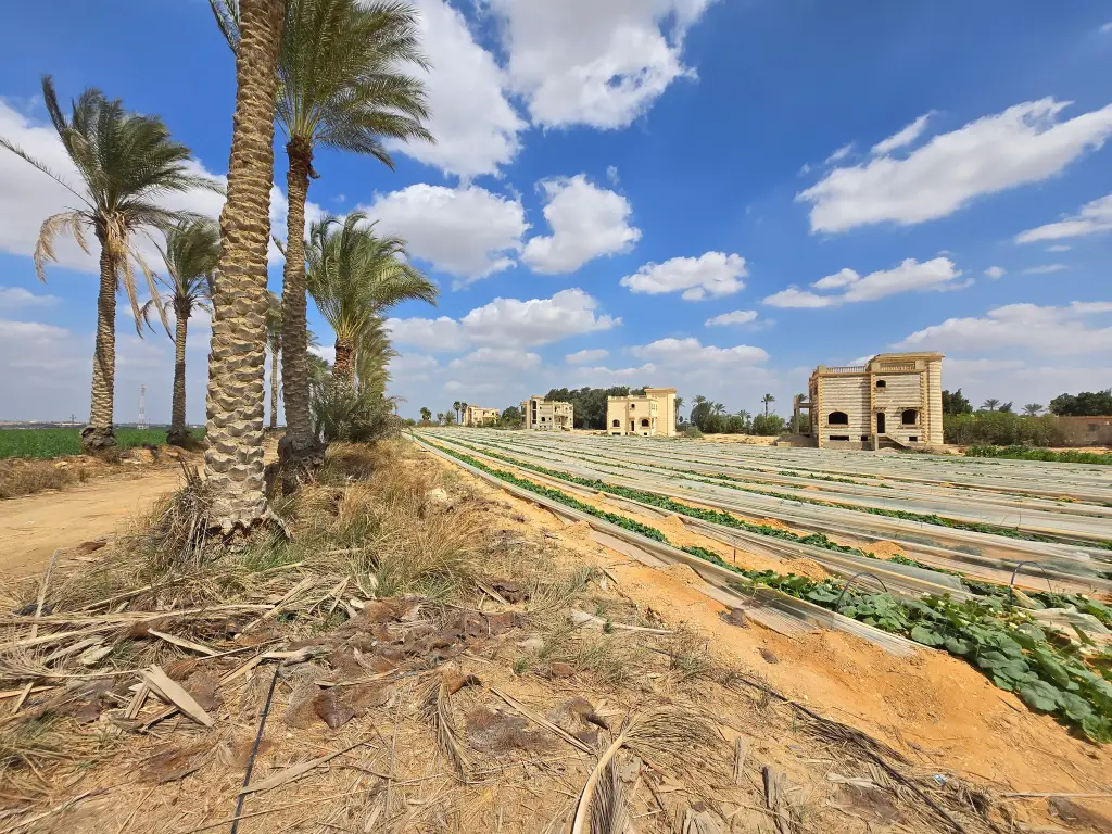 Opportunité foncière exceptionnelle et stratégique – New Zayed, Égypte