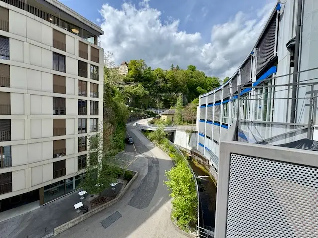 En exclusivité, à deux pas du Lac, loft en duplex dans la cité Suchard