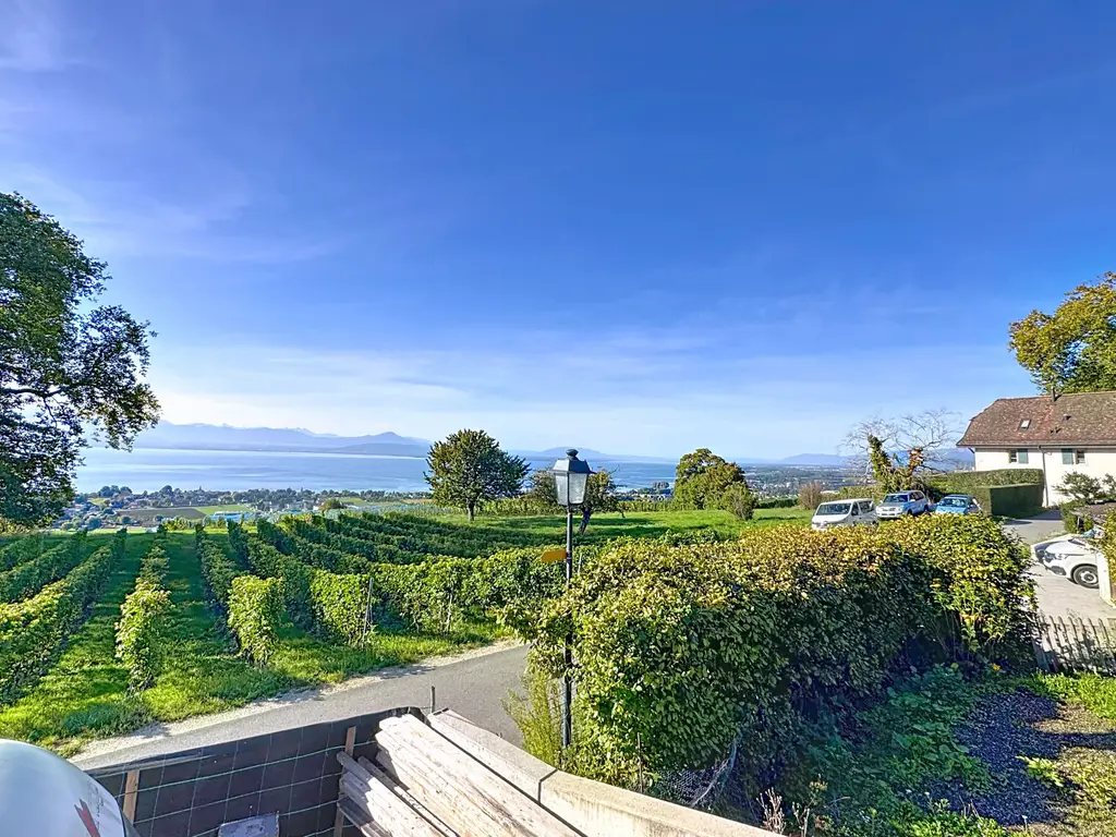 Villa neuve haut de gamme : 360 m² de lumière et de prestige face au lac et aux Alpes, à vous de choisir les finitions &#8230;