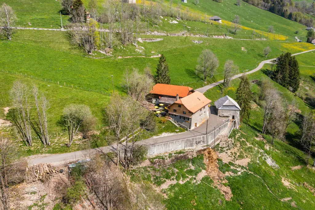 Splendide établissement au cœur de la Haute-Gruyère, une opportunité incroyable pour les amoureux de la nature
