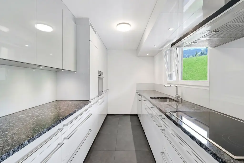 Attraktive Attika-Wohnung mit herrlichem Ausblick auf den Zürichsee in Schindellegi