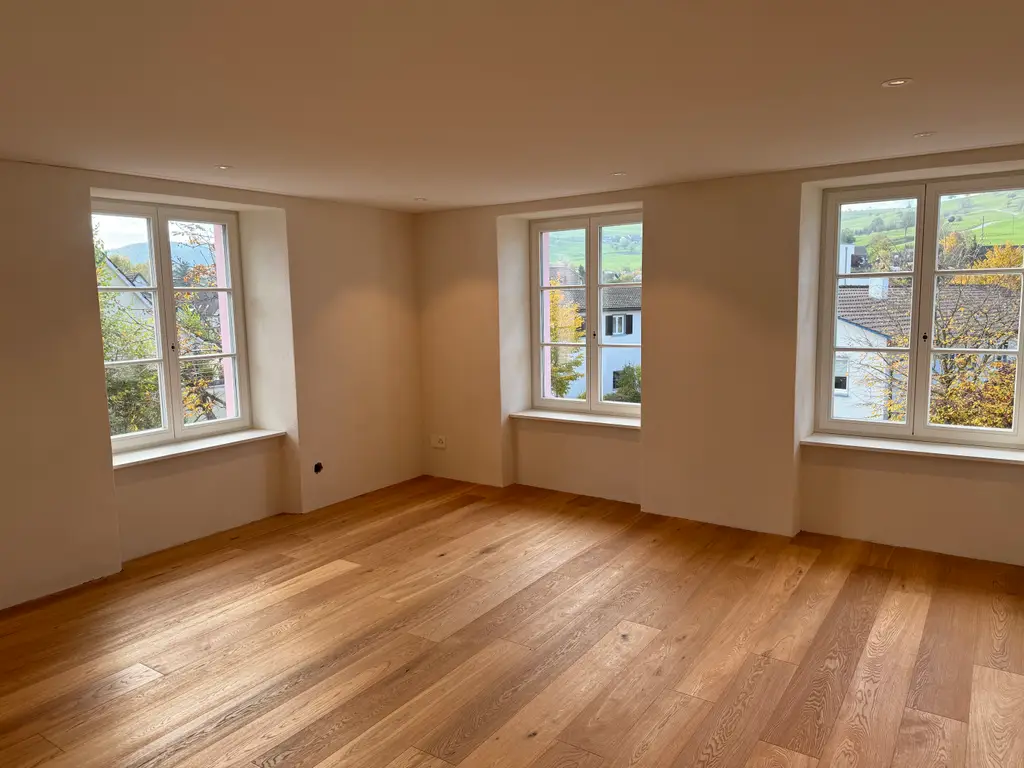 Luxuriöse 5 1/2 Zimmer Wohnung in einem Haus mit Geschichte