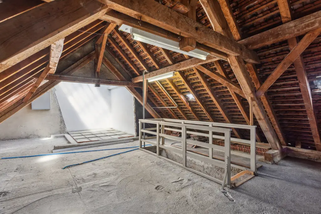 Rare : magnifique maison en plein coeur de la ville avec son jardin