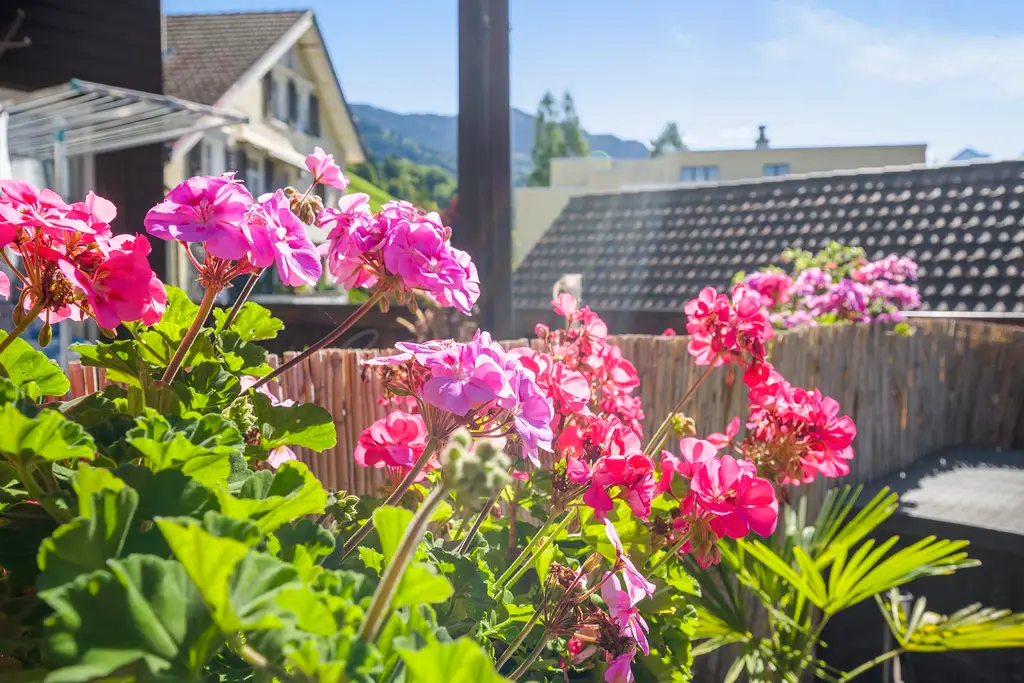 Charmantes Maisonette in Neu St. Johann SG zu verkaufen