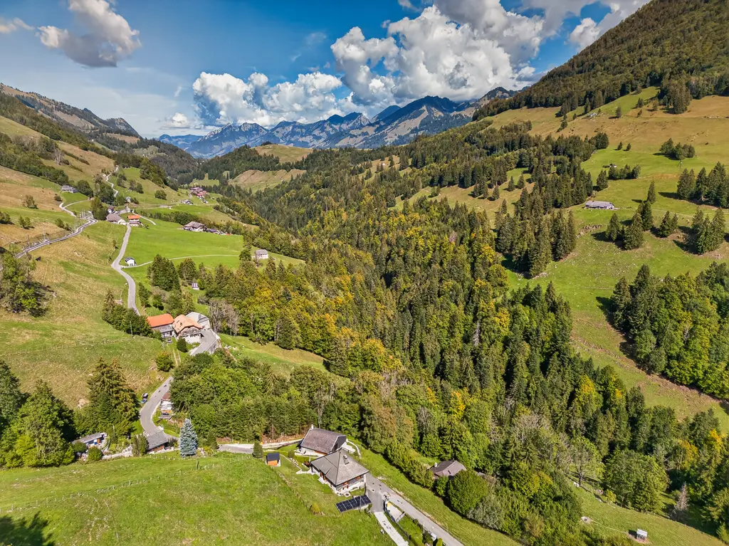 Maison de 1691 avec cachet, vue dégagée et panneaux entièrement rénovée  — Haut-Intyamon