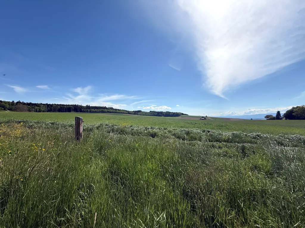 Thierrens Futur projet de 6 villas
