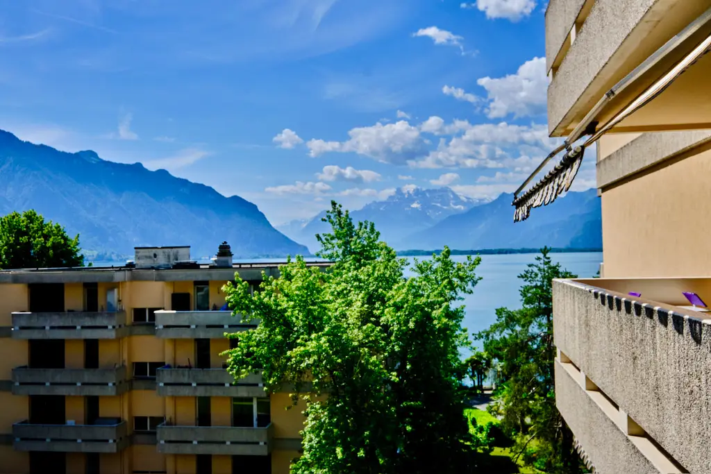 Spacieux Meublé balcon vue lac
