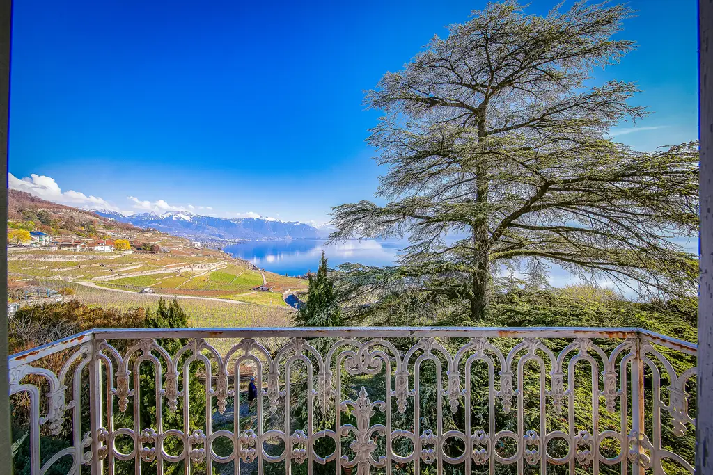 Maison de maître du 19ème siècle bordant les vignes de Lavaux